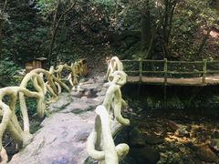 -老君洞旅游度假区