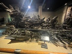 -乐山乌木文化博览苑