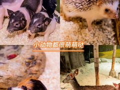 -正佳极地海洋世界