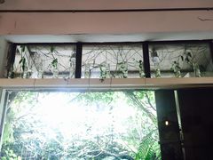 -植觉
