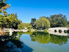 -汉庭顿图书馆