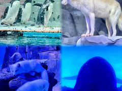 -正佳极地海洋世界