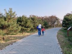 -东郊湿地公园