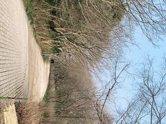 -西湖风景区-江洋畈生态公园
