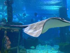 -石林冰雪海洋世界