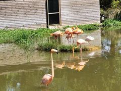 -宁波杭州湾国家湿地公园