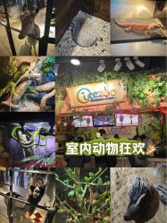 -酷嗒动物文化乐园(cutezoo西溪乐天城店)