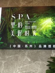 -阅年轻·AI家庭健康体质调理