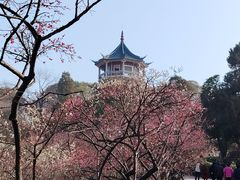 -无锡梅园公园