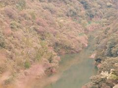 -青龙山生态文化旅游区(慈云寺)
