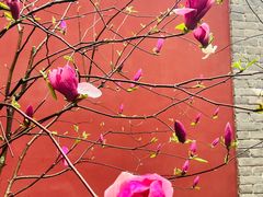 -西安市广仁寺