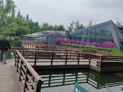-成飞公园