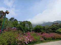 -梧桐山风景名胜区