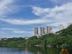 -重庆彩云湖湿地公园