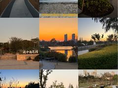 -上海植物园-4号门售票处