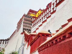 -布达拉宫