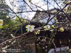 -杭州植物园