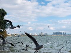 -滇池海埂公园