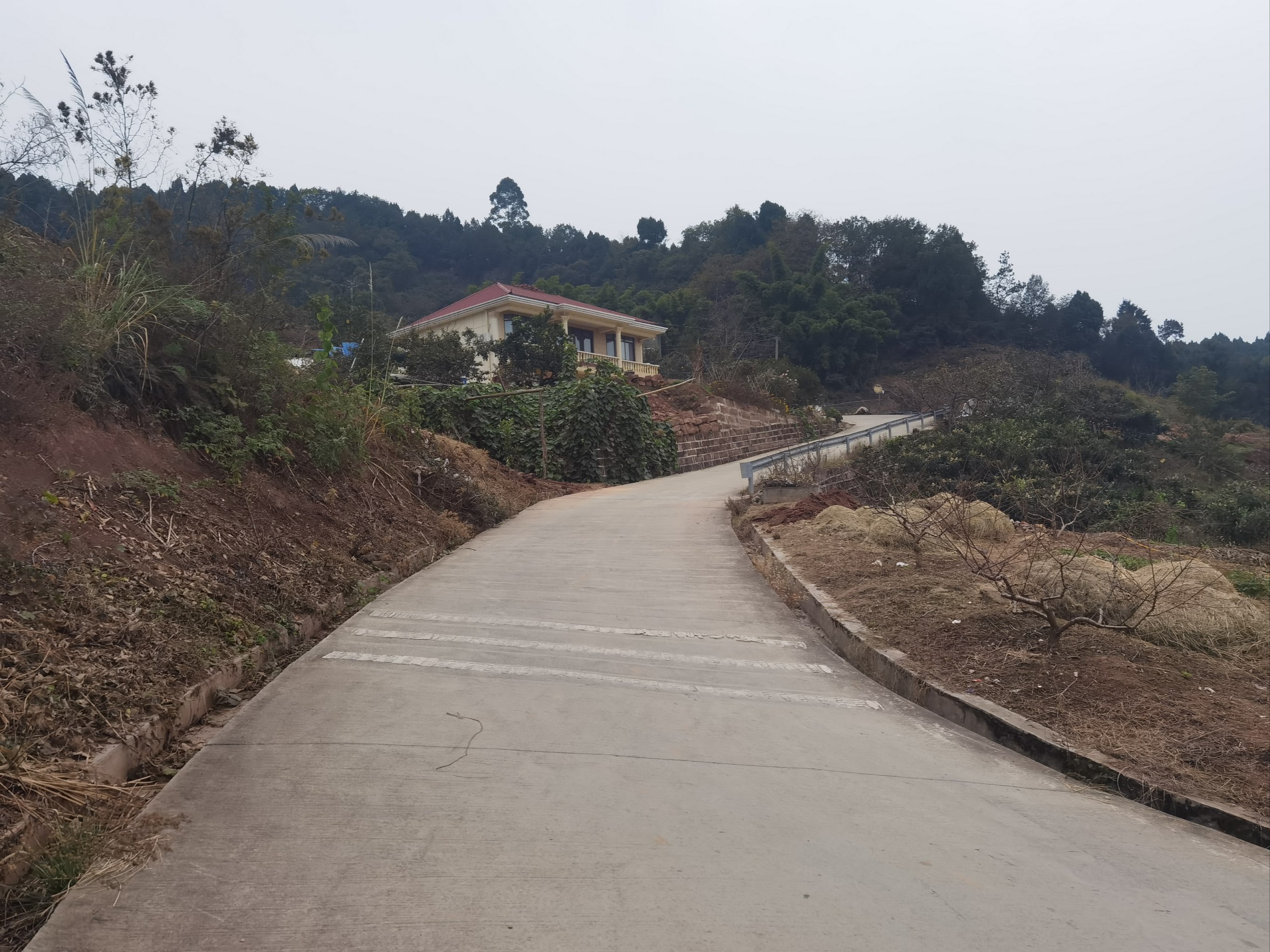 龙泉新见书山骑行爬坡路线