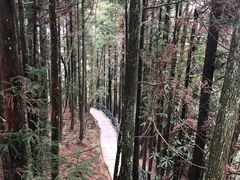 -井冈山风景名胜区-黄洋界