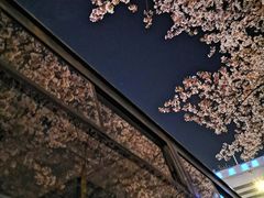 -南浦大桥长途旅游客运站