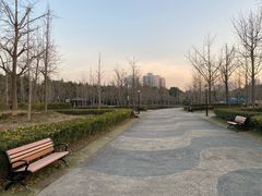 -黄兴公园