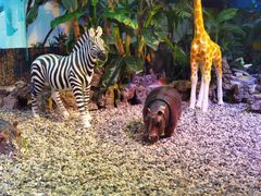 -鸿通城购物中心