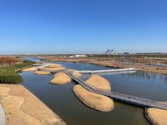 -春花秋色城市公园