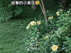 -福田红树林生态公园