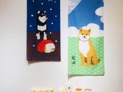 -柴迷FANS CLUB·柴犬狗咖·猫咖