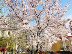 景点-静安雕塑公园