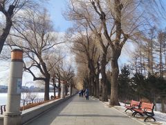 -长春市南湖公园