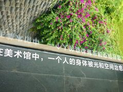 -知美术馆