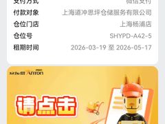 -安东易迷你自助仓储寄存仓库(杨浦店)