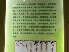 -上海昆虫博物馆