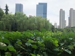-后襄河公园