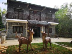 -扬美古镇景区