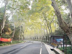 -灵谷景区