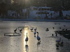 -团结湖公园