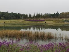 -两河城市森林公园