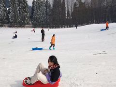 -武陵山森林公园