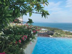 -瑰丽酒店·海吧·天际下午茶·现场DJ·天台酒吧