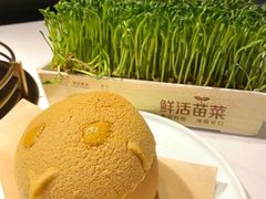 -领鲜天下·焗海鲜·花胶鸡(天目里店)