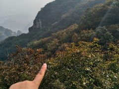 -狼牙山风景区