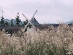 -宁波浙东大竹海景区