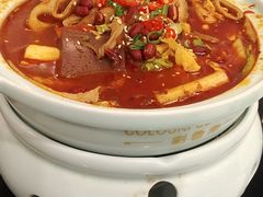 辣辣大肠锅-Colourful Yunnan Box Hill 彩云南·彩铺子