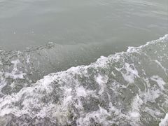 -西湖游船