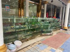 水产区-四海鲜渔家菜(黄金海岸店)