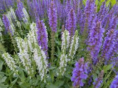 -汉长安城未央宫国家考古遗址公园