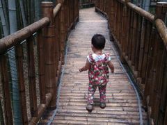 -陶祖圣境风景区